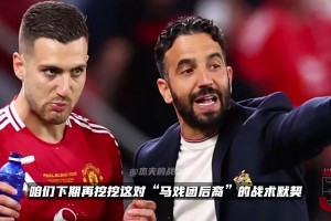 真关系户🤣？阿莫林和达洛特是同一个祖先的后代